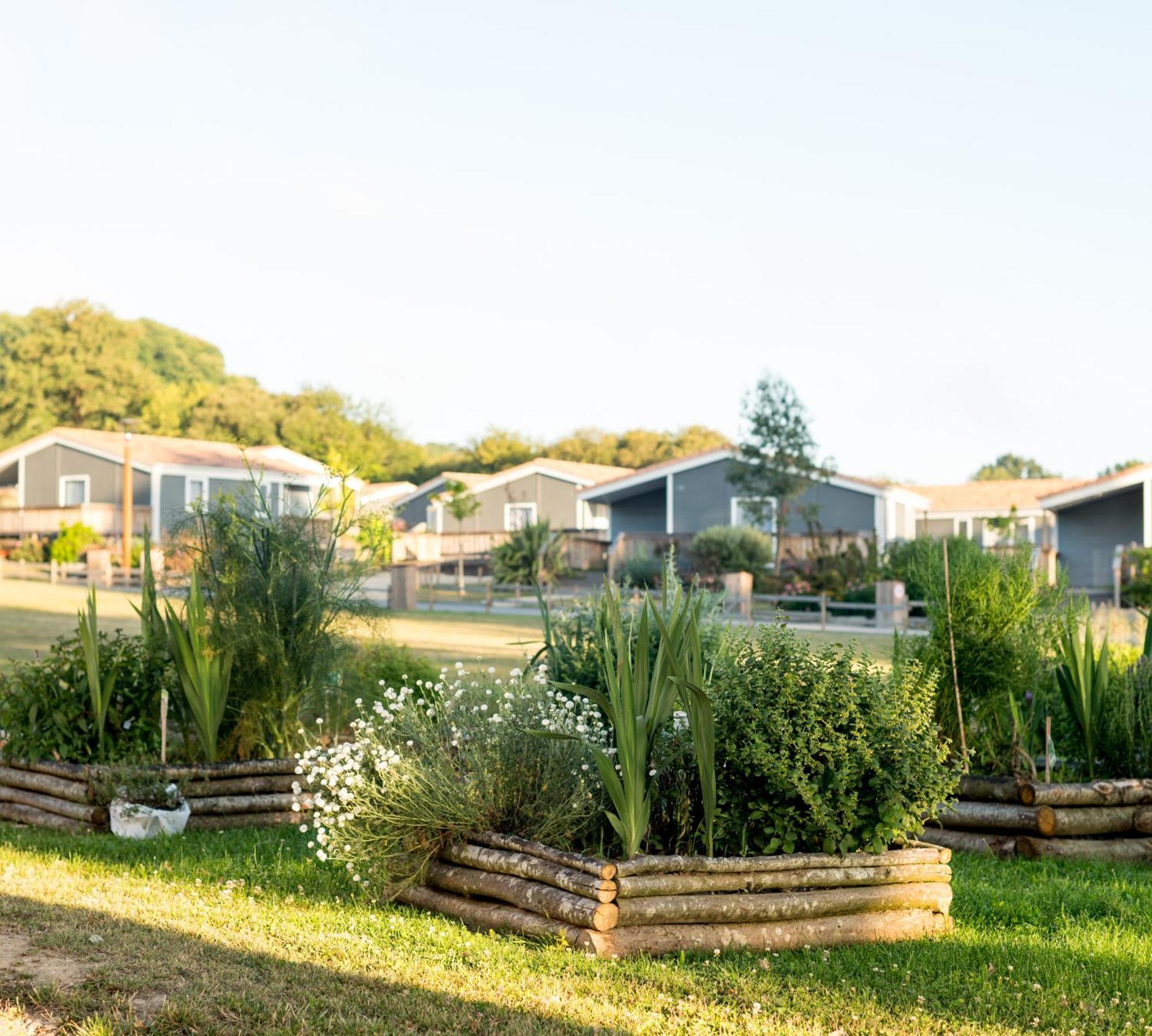 Domaine Melusine - A 2Km Du Puy Dufou France ! Hotel Les Épesses Exterior foto